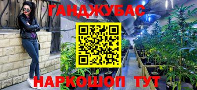 СК Краснодар