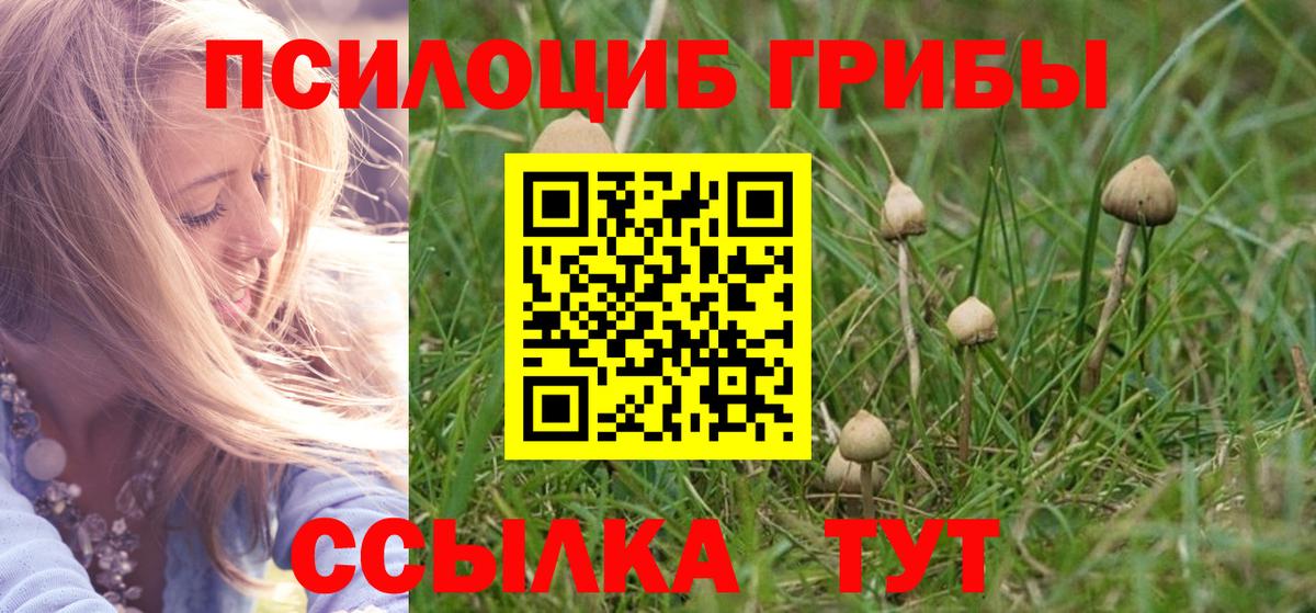 Галлюциногенные грибы Cubensis Карпинск